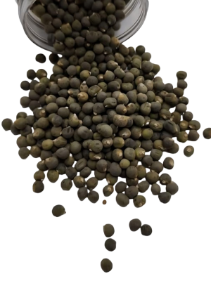 بذور و مخصبات