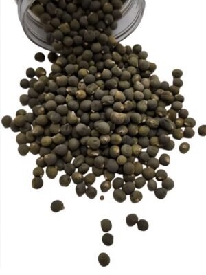 بذور باميا عراقية اصلية